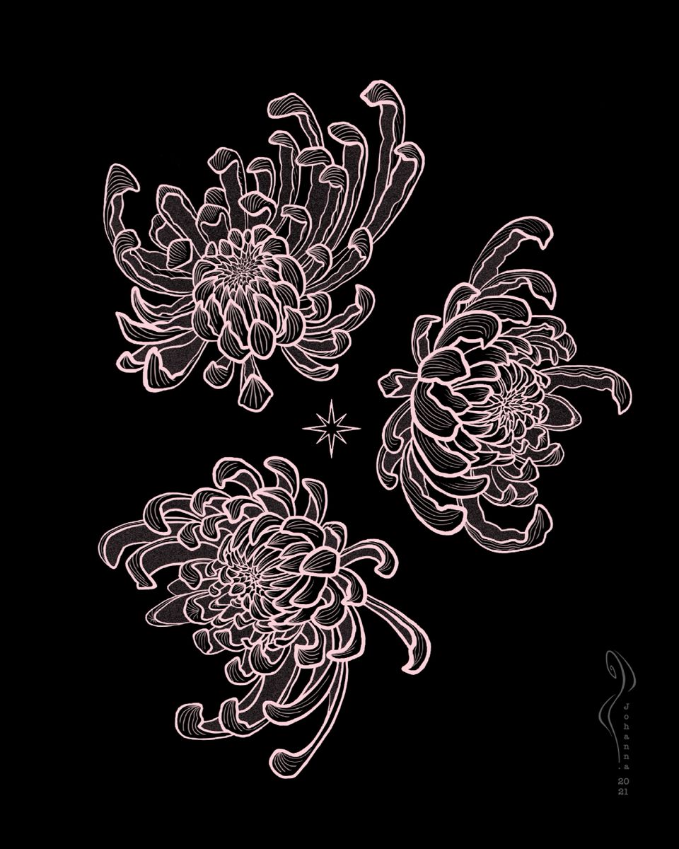 Chrysanthemum tattoo small 0022