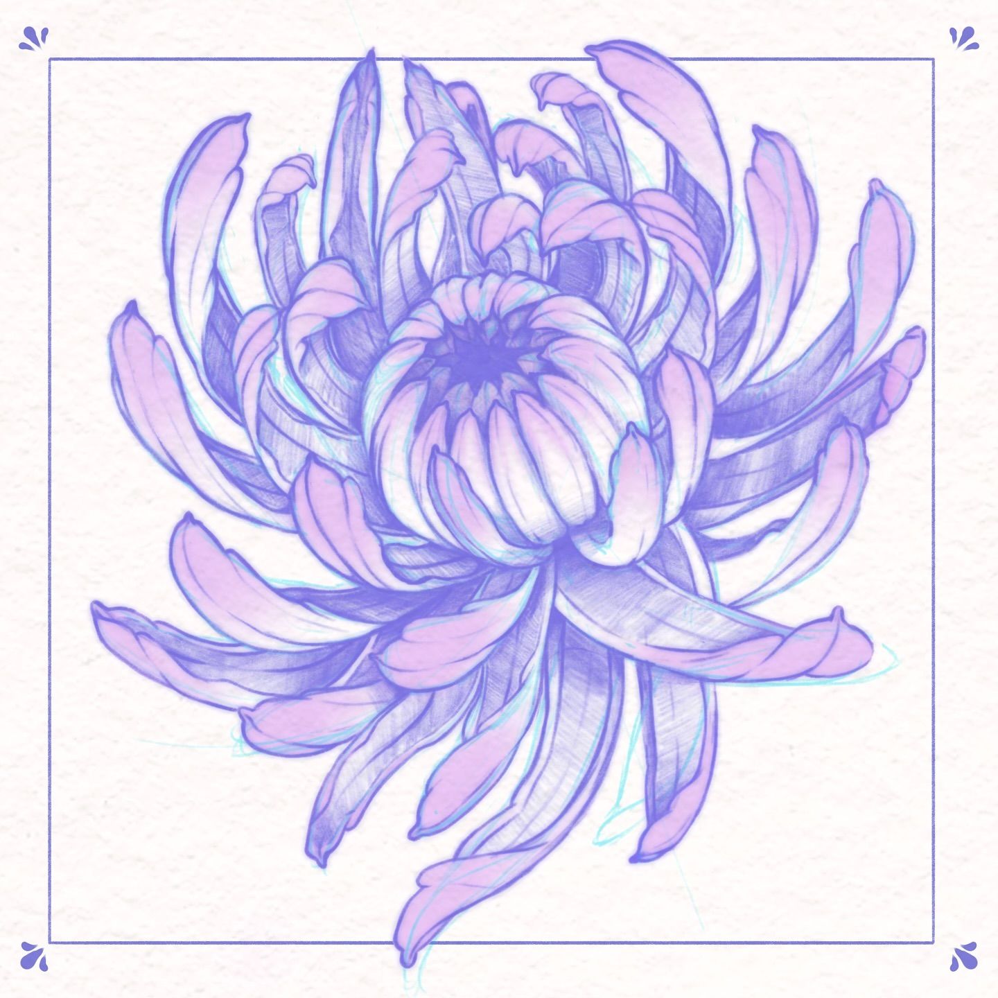 Chrysanthemum tattoo small 0053