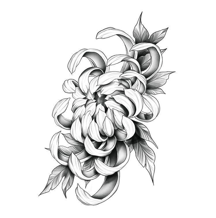 Chrysanthemum tattoo small 0061