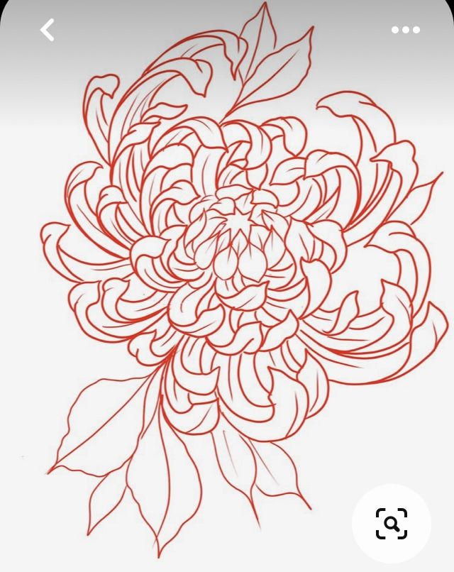 Chrysanthemum tattoo small 0062