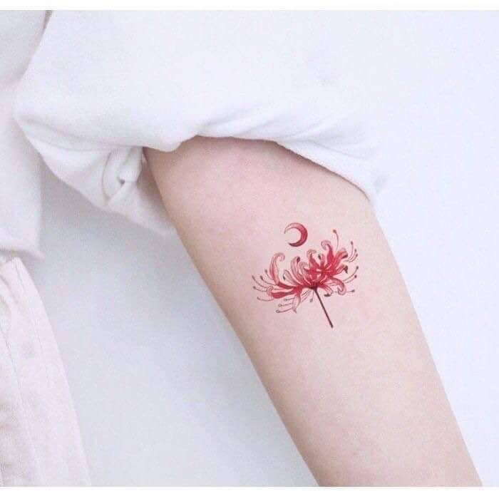 Chrysanthemum tattoo small 0089