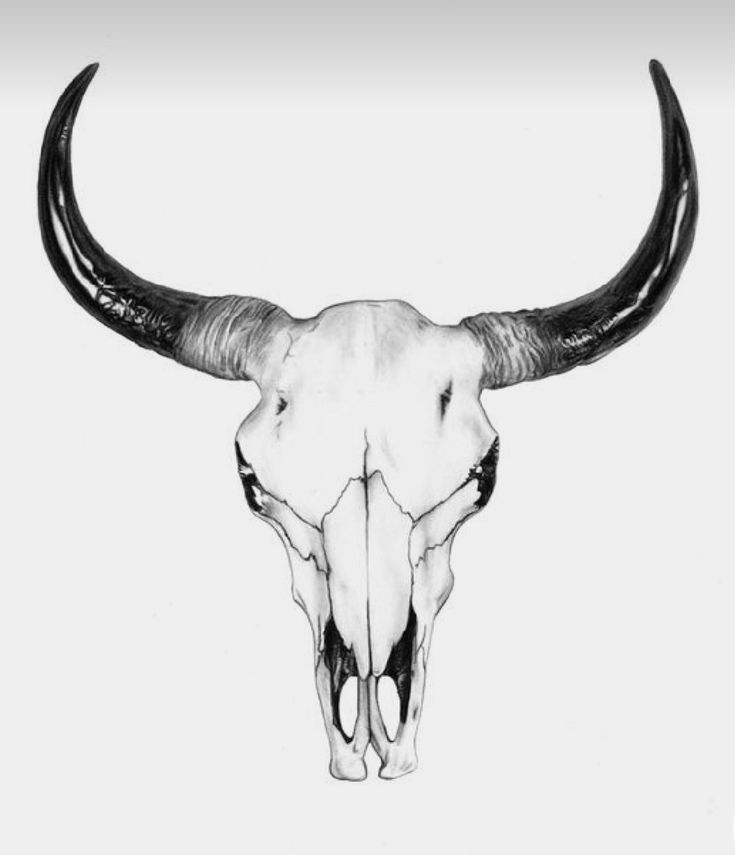 colorful bull skull tattoo ideas