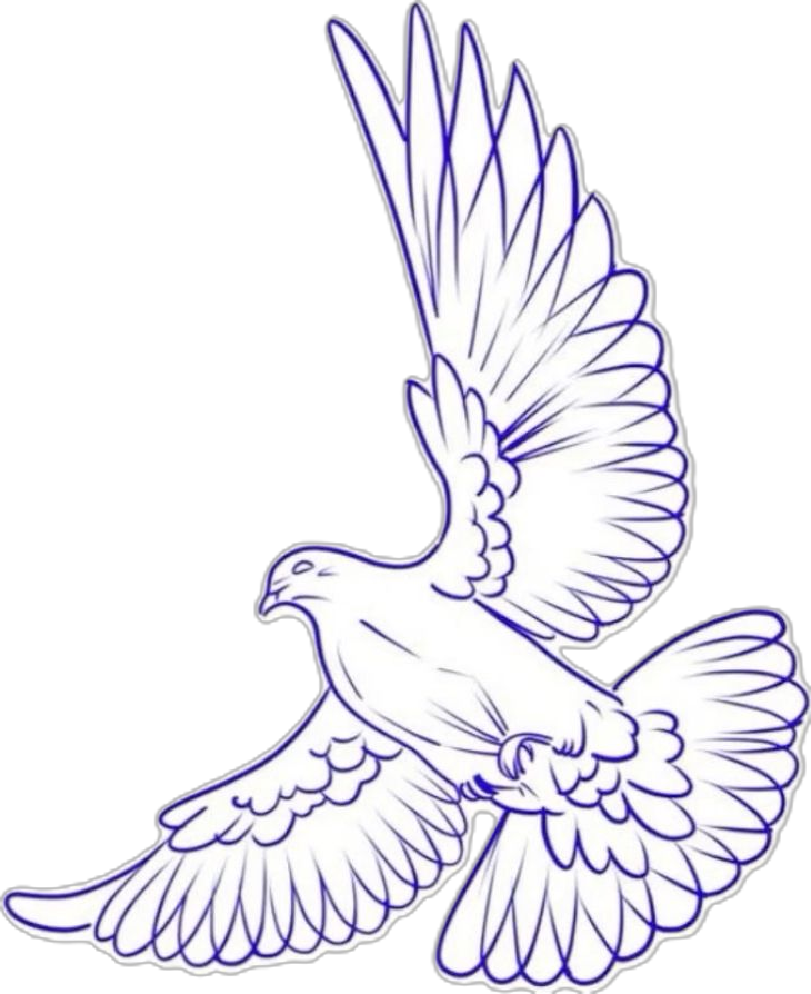 colorful small dove tattoo concepts