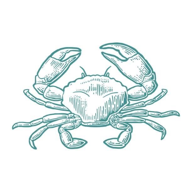 crab tattoo ideas 0028