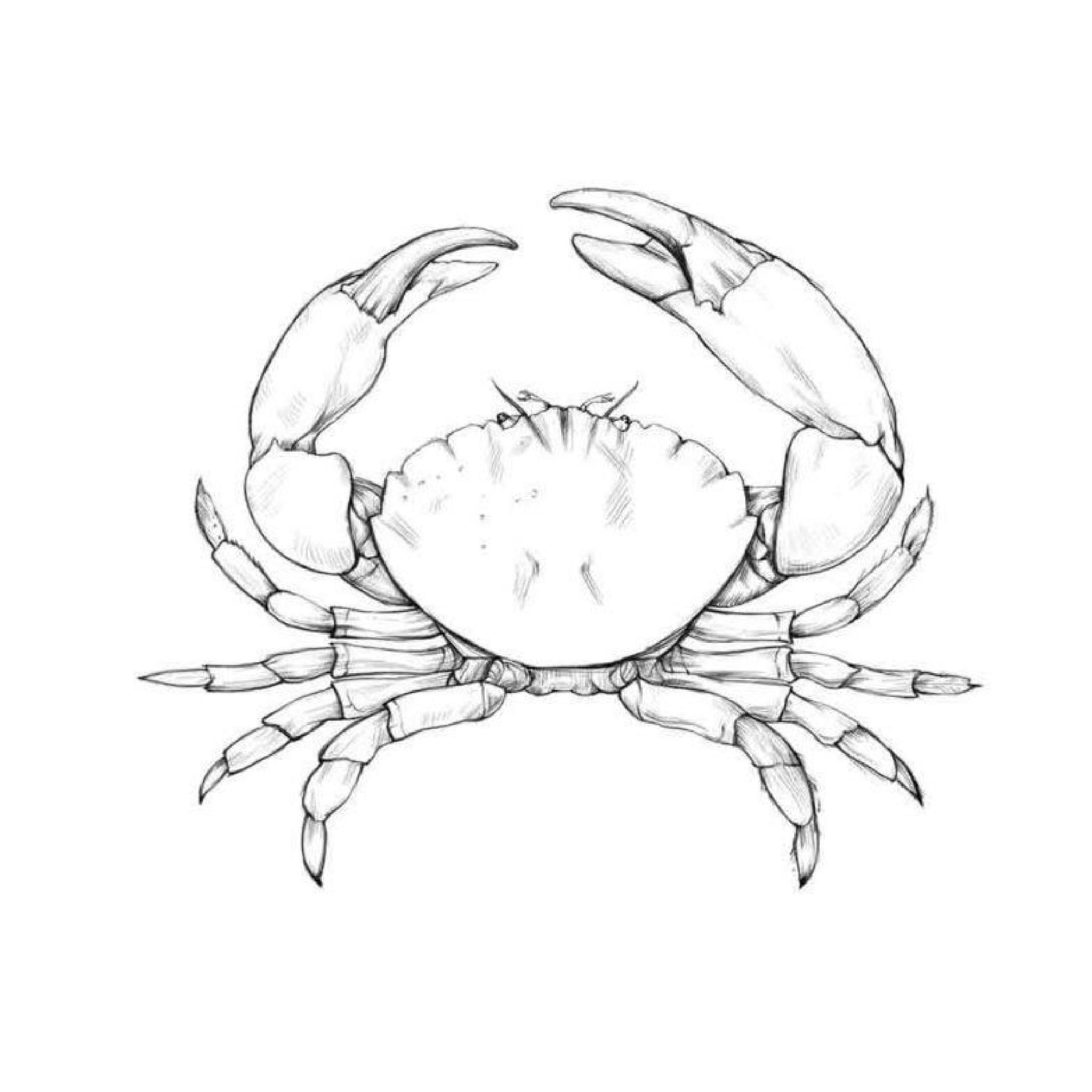 crab tattoo ideas 0042