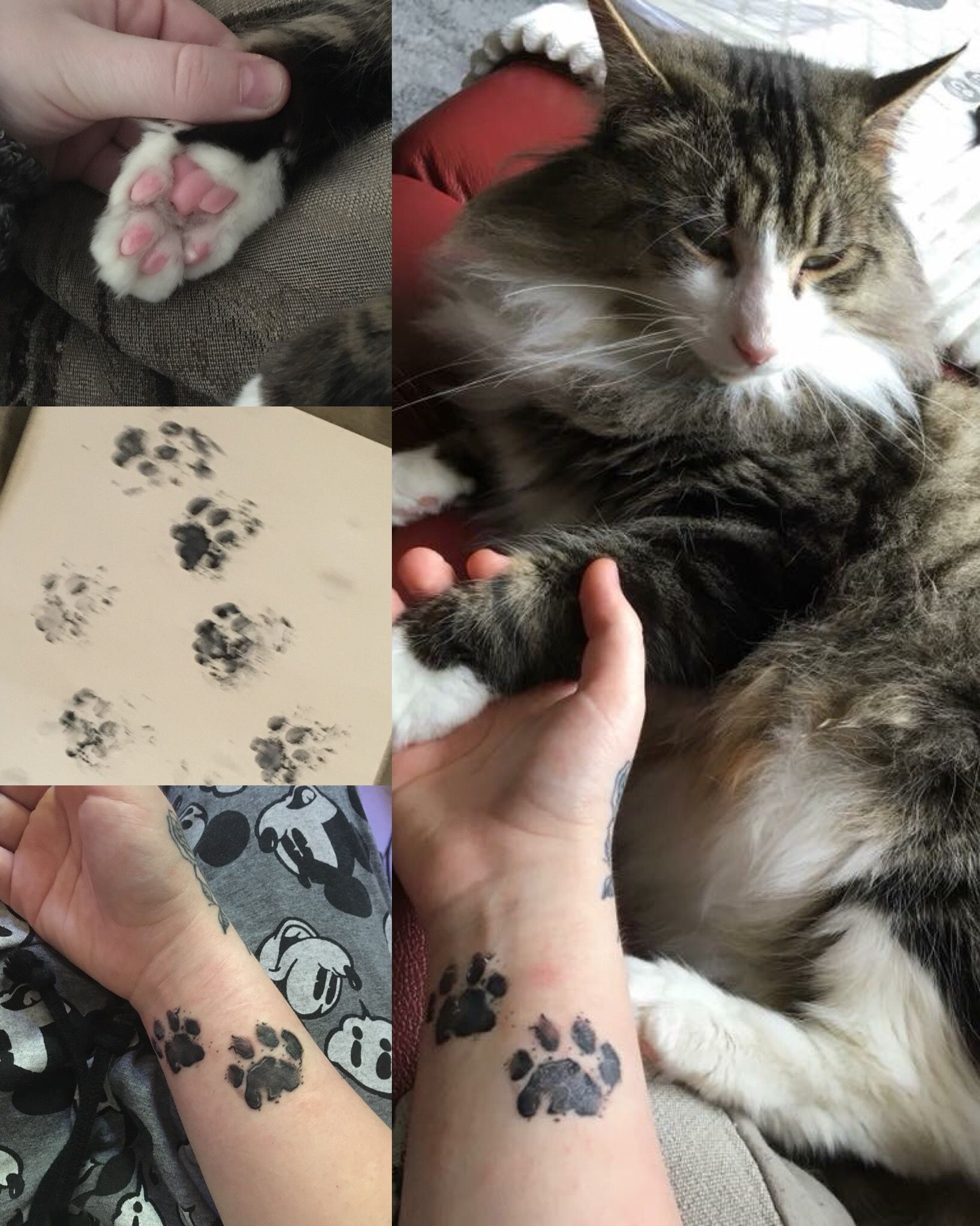 creative cat paw print tattoo placements