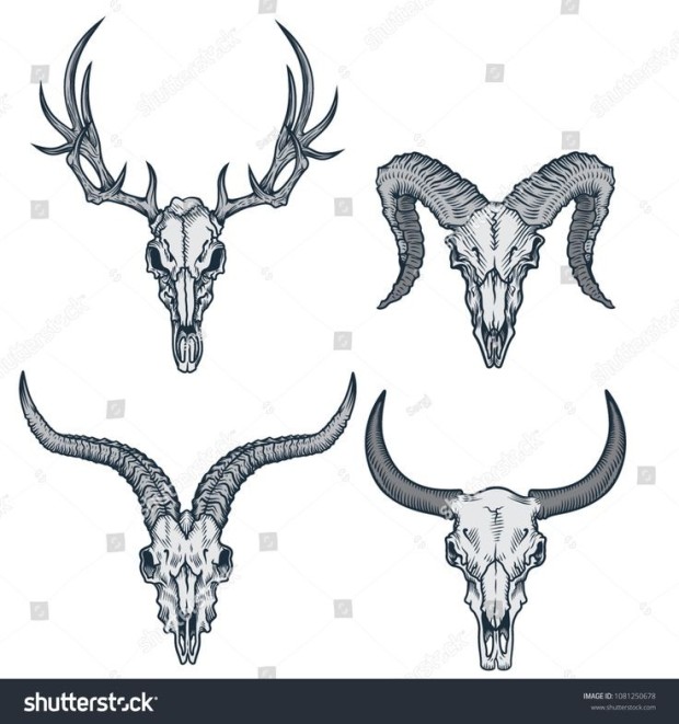 Creative designs for deer skull tattoos