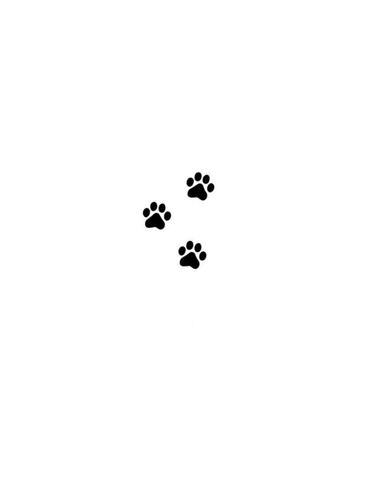 creative dog paw tattoo ideas placement