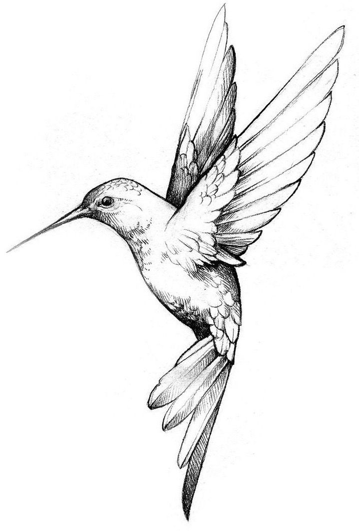 creative hummingbird tattoo ideas