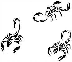 creative small scorpion tattoo concepts