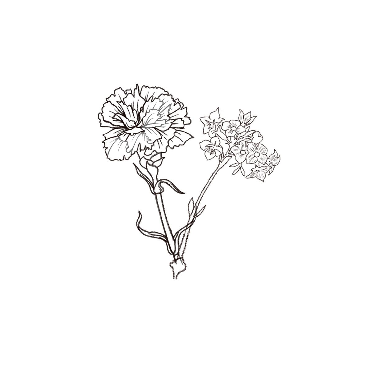 custom carnation tattoo sketches.