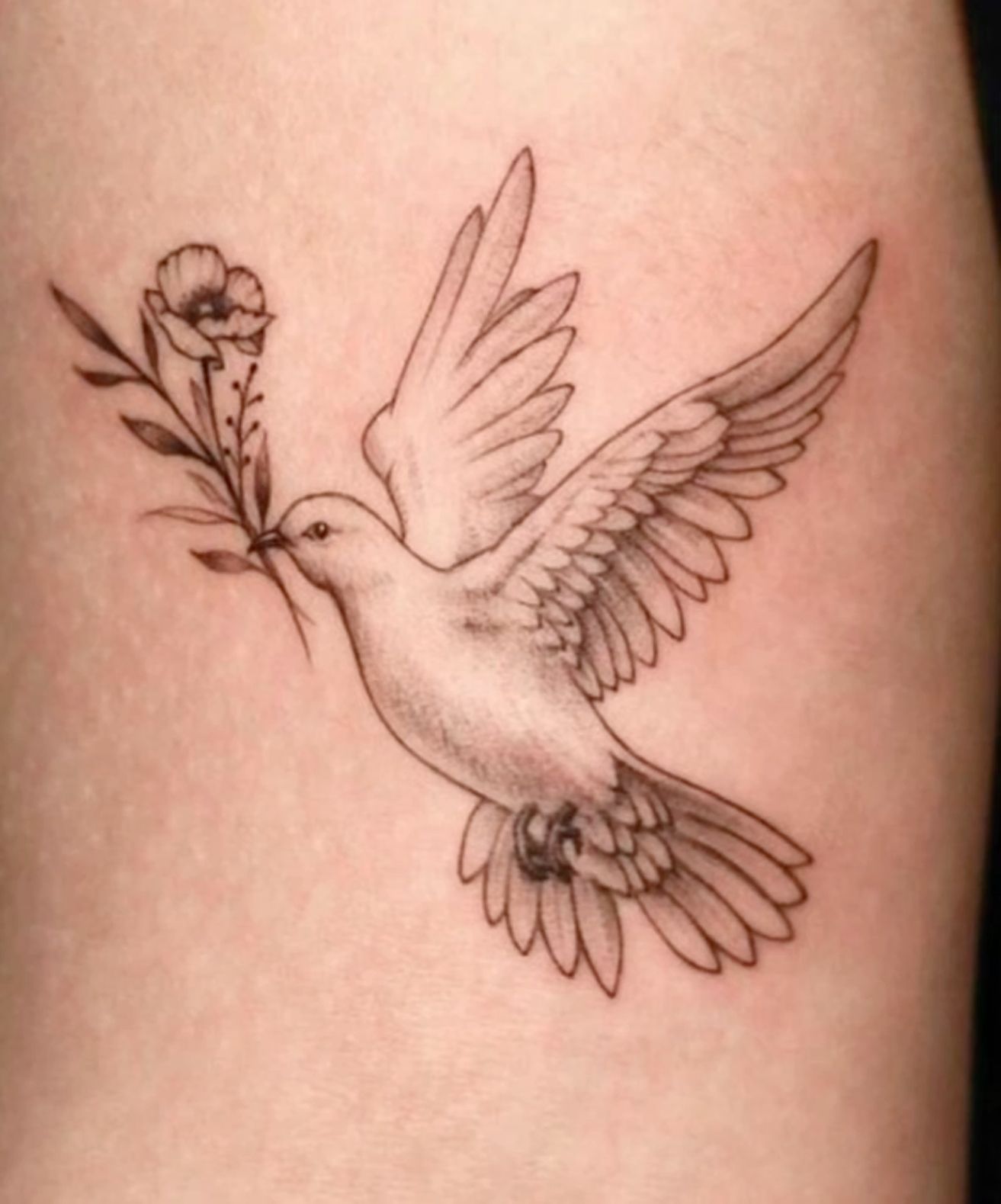 custom small dove tattoo artworks.