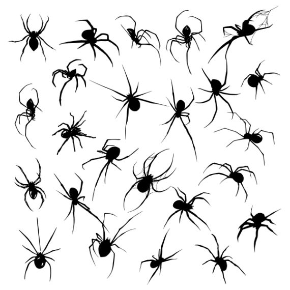 cute small spider tattoo concepts