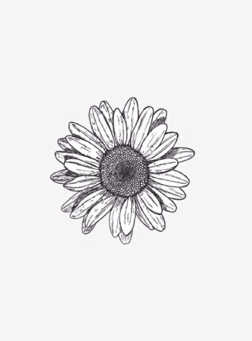 daisy tattoo ideas 0010