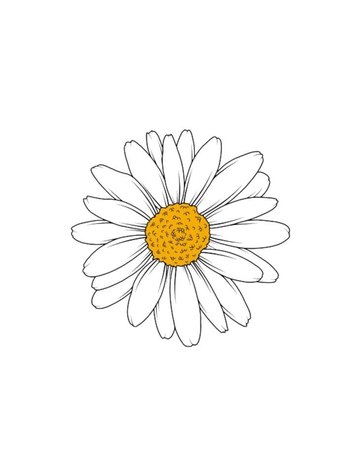 daisy tattoo ideas 0012