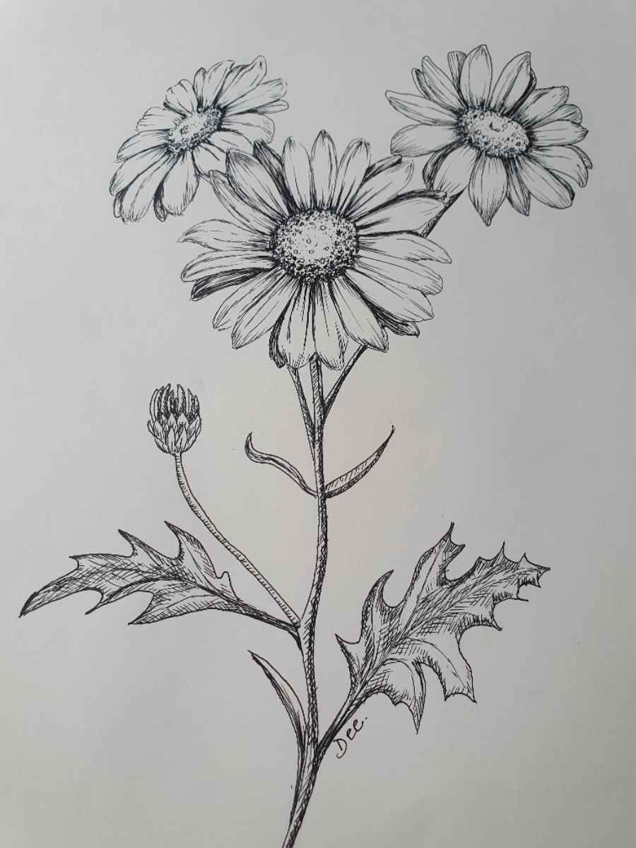 daisy tattoo ideas 0019