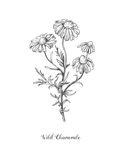 daisy tattoo ideas 0028