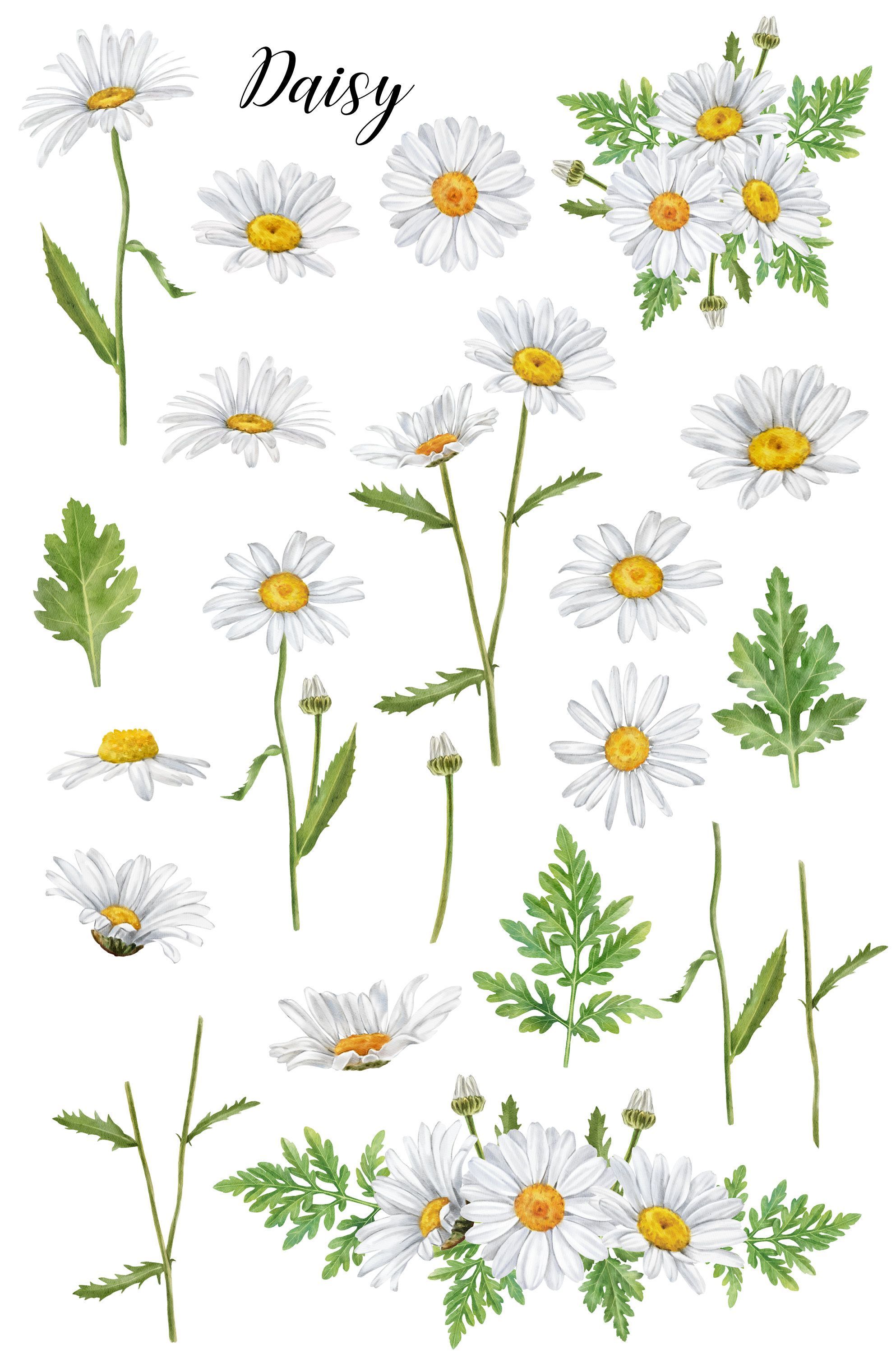 daisy tattoo ideas 0034