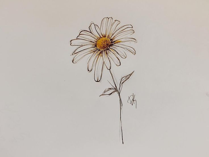 daisy tattoo ideas 0061