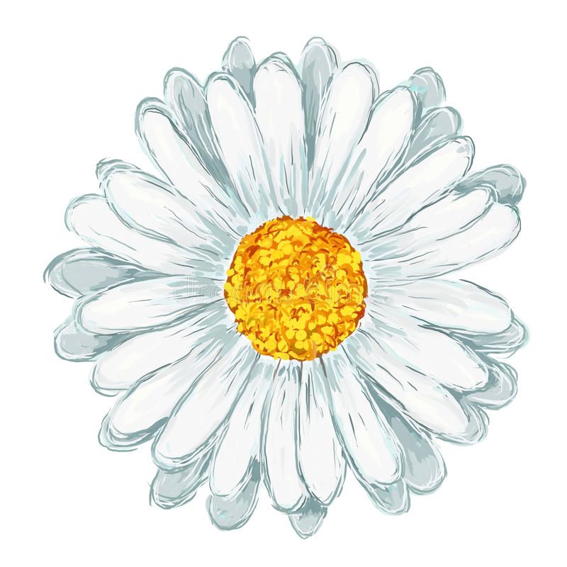 daisy tattoo ideas 0076