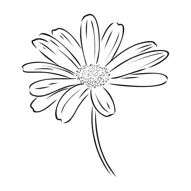 daisy tattoo ideas 0077