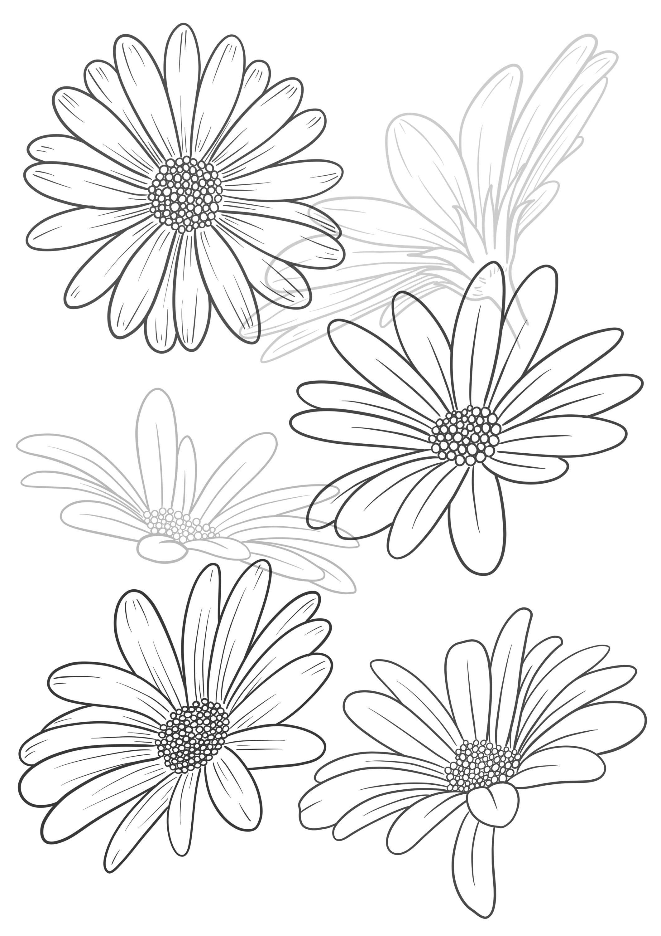 daisy tattoo ideas 0086