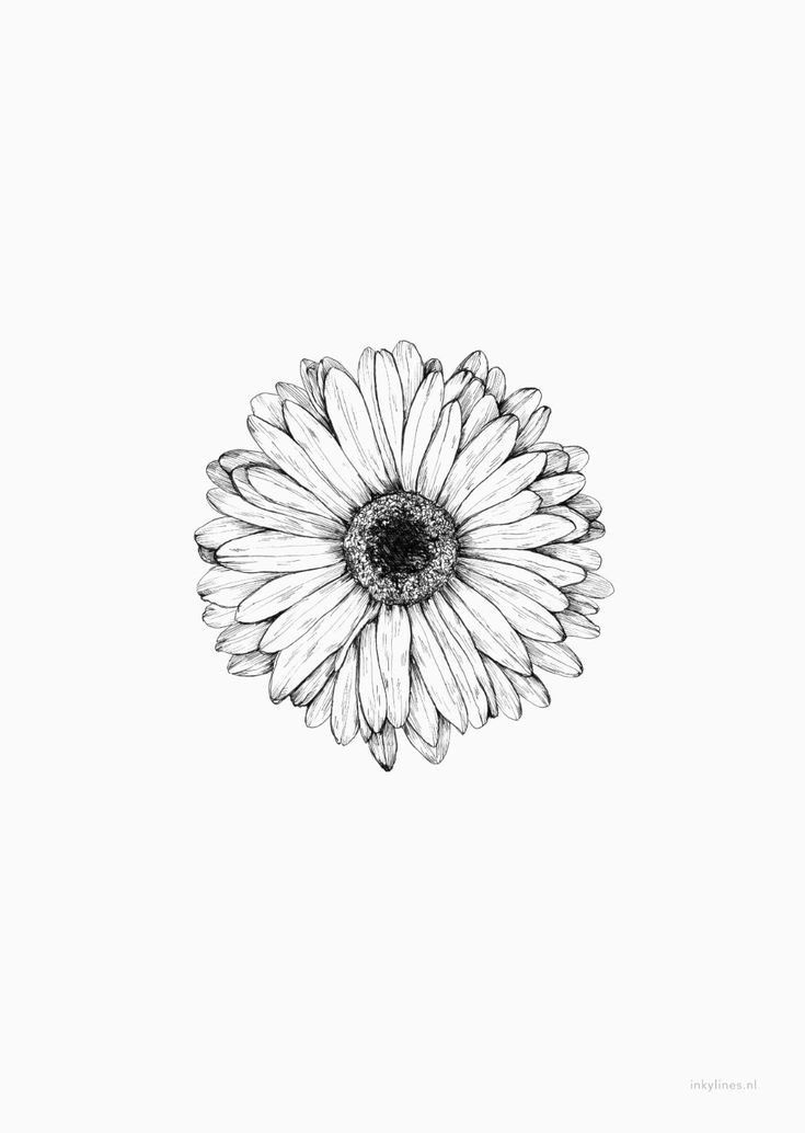 daisy tattoo ideas 0098