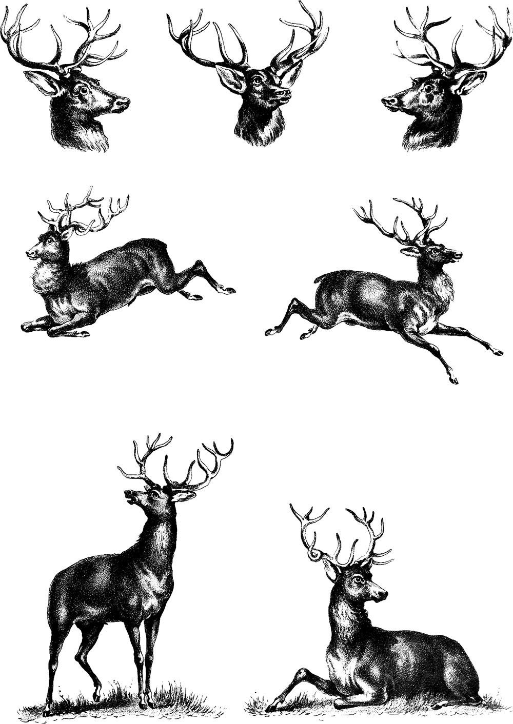 Deer hunting tattoo ideas 0065