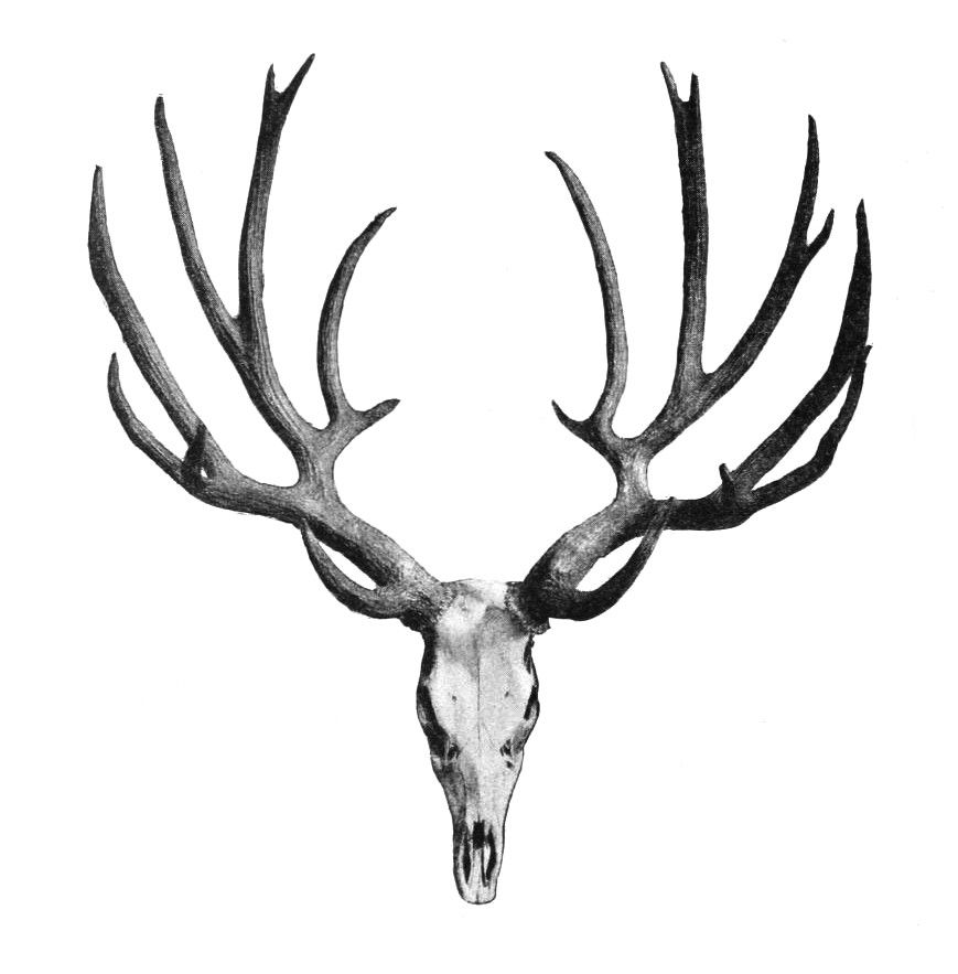 Deer hunting tattoo ideas 0095