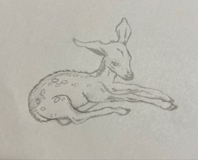 deer tattoo ideas 0023