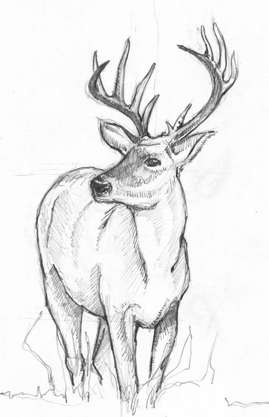 deer tattoo ideas 0032