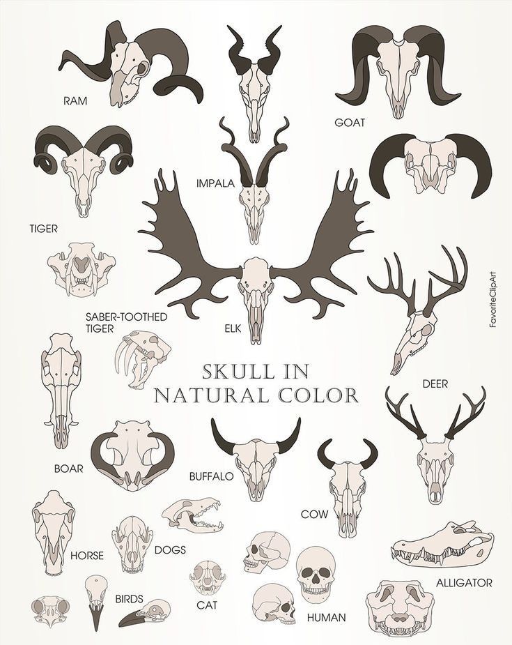 deer tattoo ideas 0054