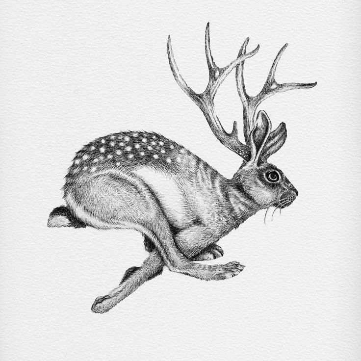 deer tattoo ideas 0055