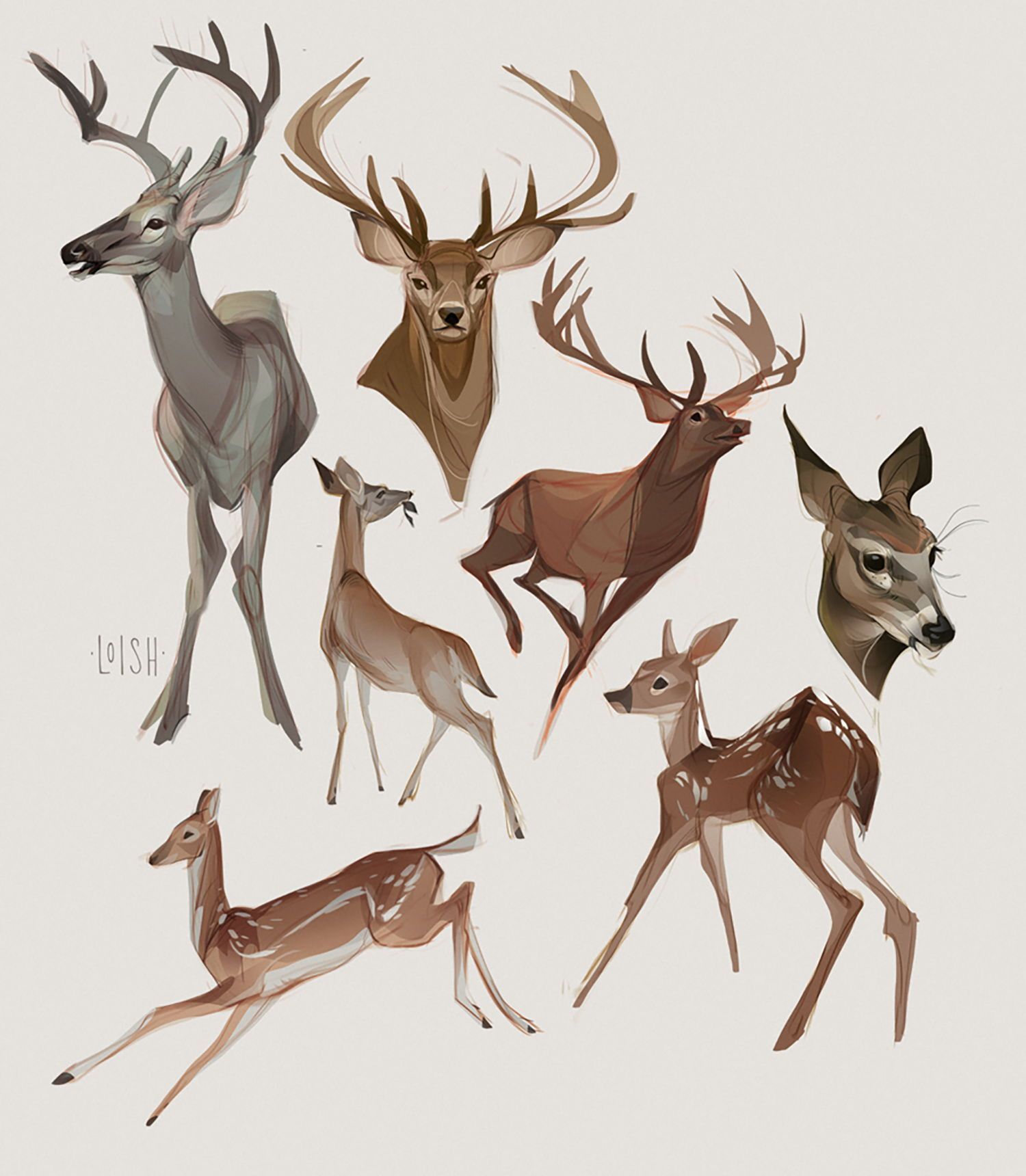 deer tattoo ideas 0069