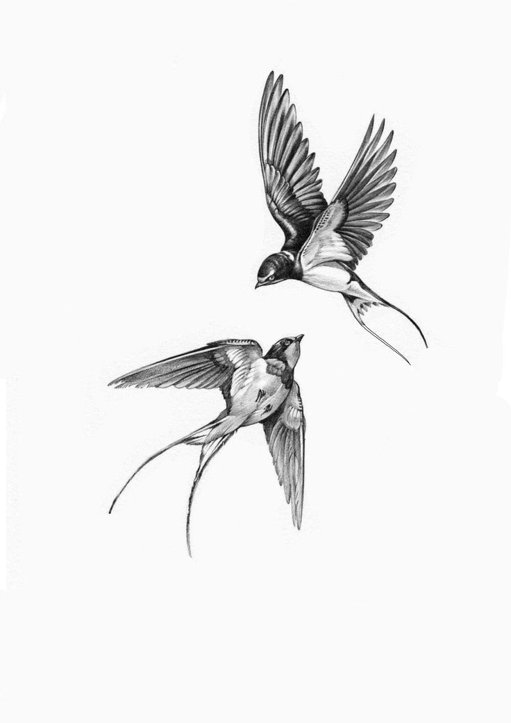 delicate bird tattoo ideas