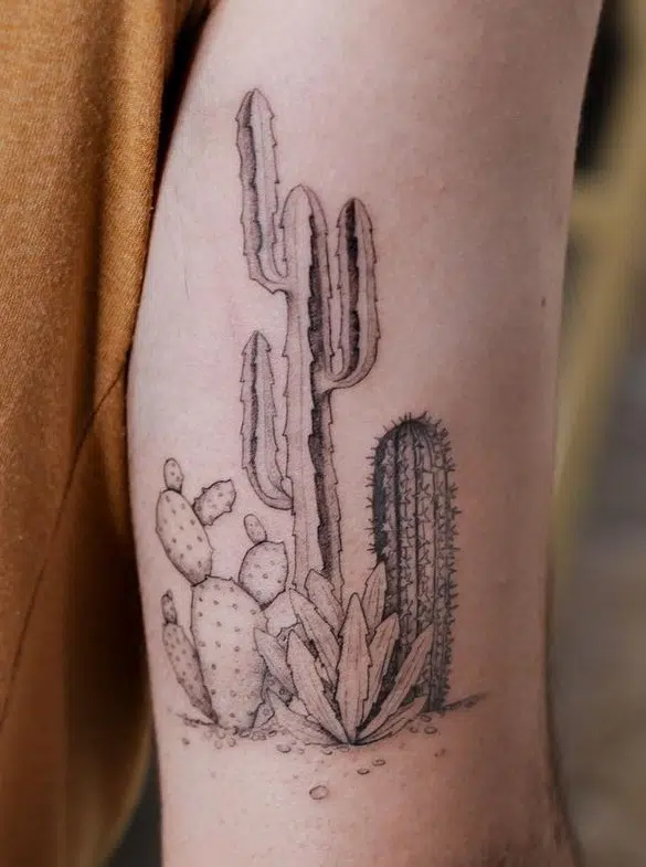 delicate cacti tattoo suggestions