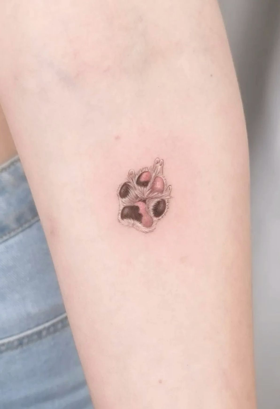 delicate dog paw tattoo illustrations.