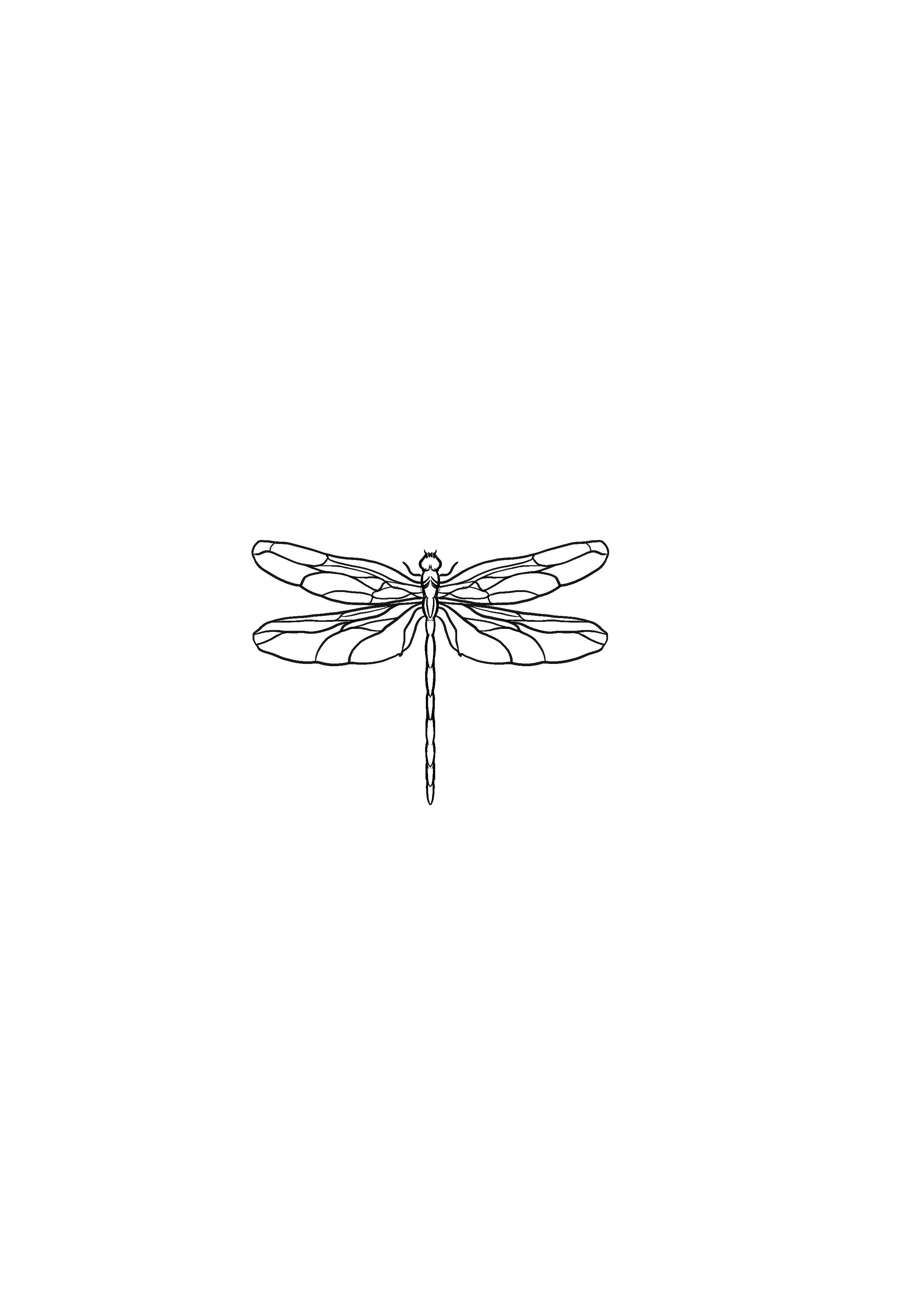 delicate dragonfly tattoo variations