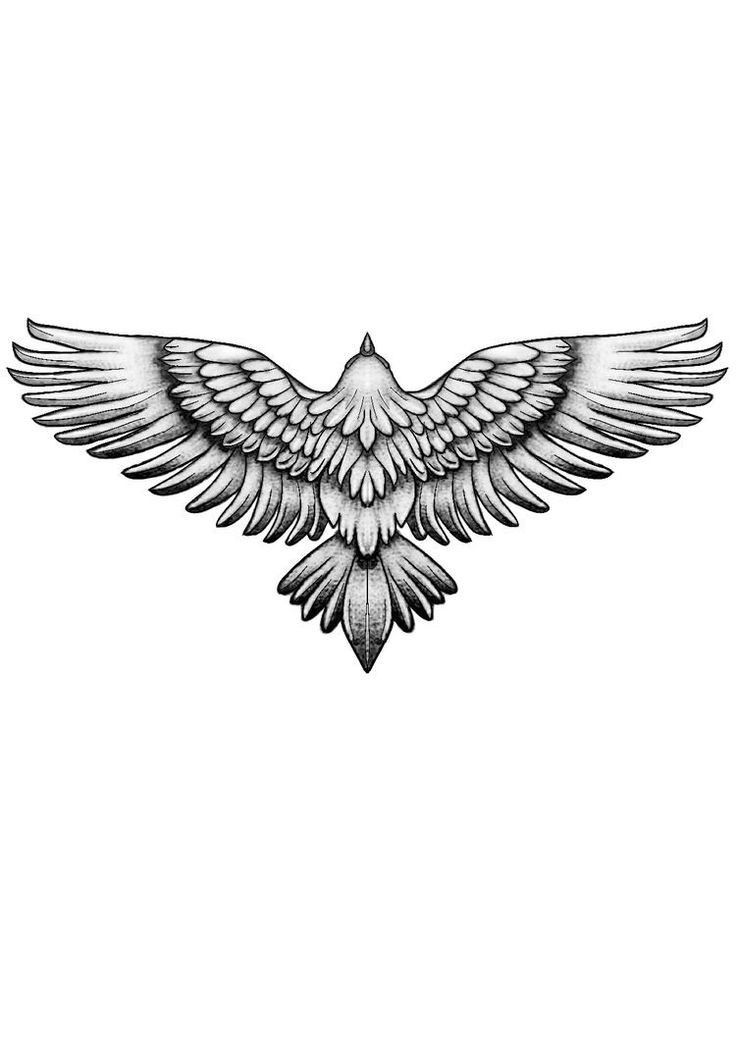 delicate hawk tattoo ideas