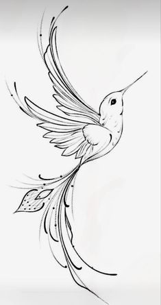 delicate hummingbird tattoo concepts