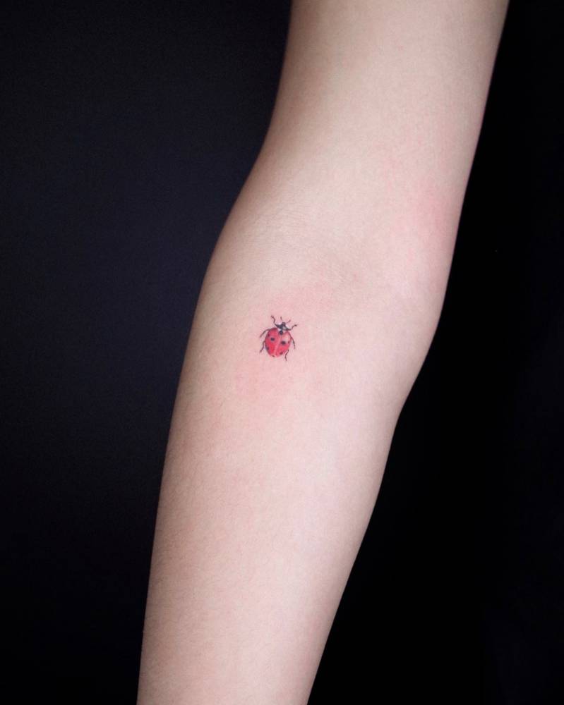 delicate ladybug tattoo concepts