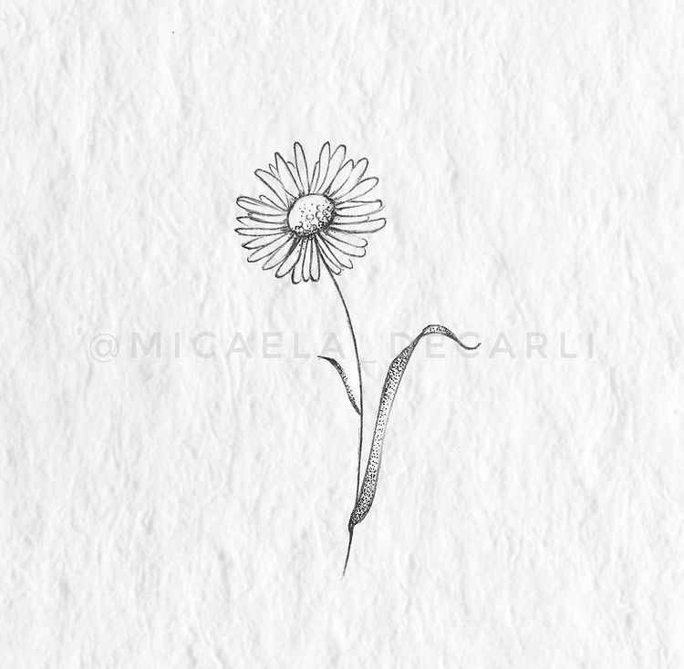 delicate small daisy tattoo designs