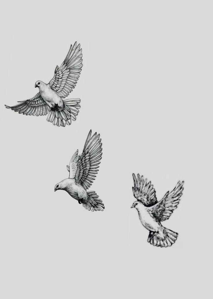 delicate small dove tattoo styles