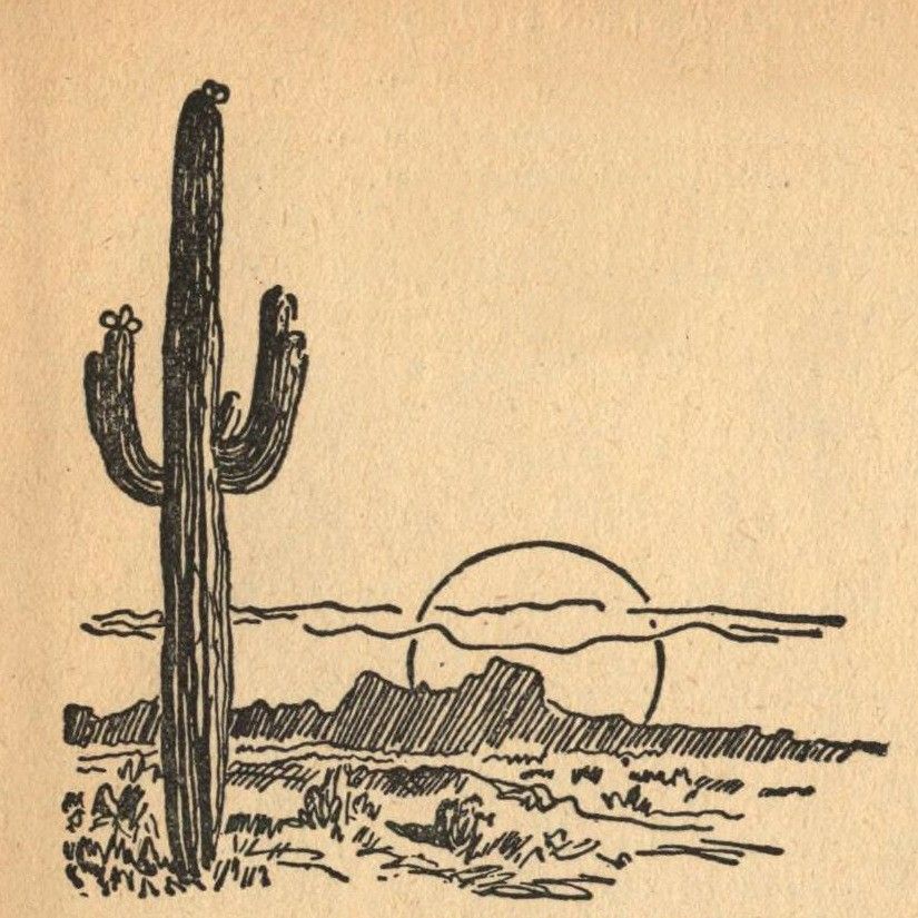 desert tattoo ideas 0012