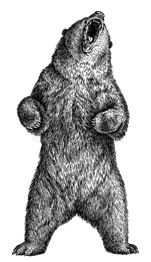 detailed bear tattoo patterns