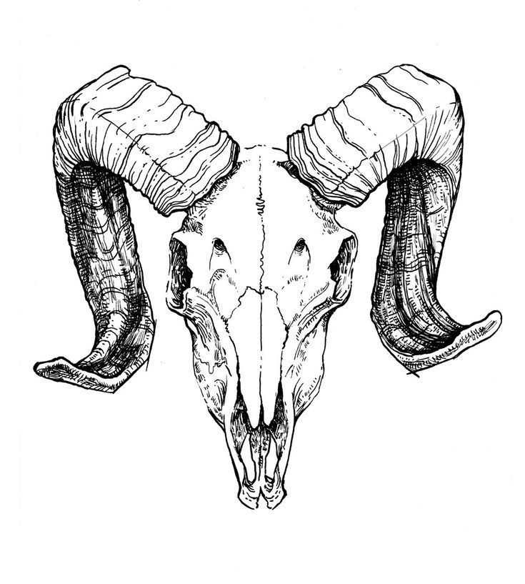 detailed bull skull tattoo ideas.