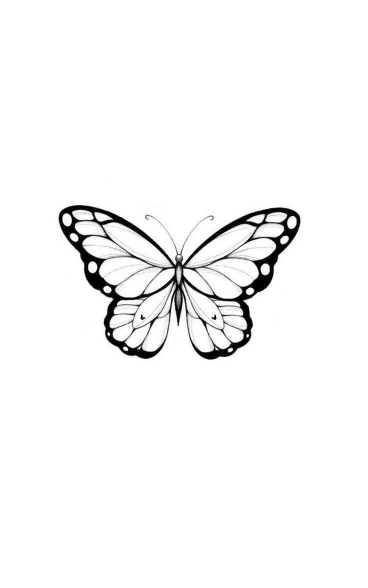 detailed butterfly tattoo drawing ideas