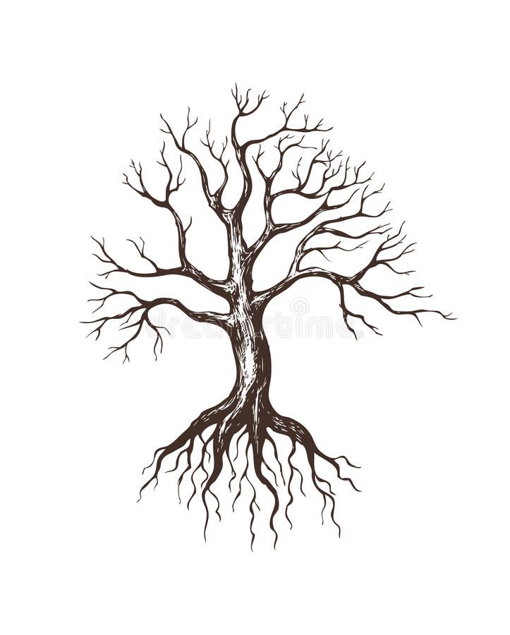 detailed tree tattoo ideas for arm placement