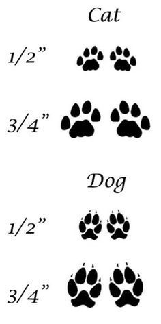 dog paw print tattoo ideas 0074