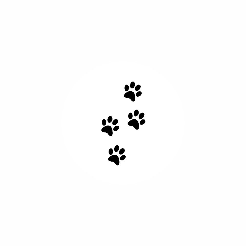 dog paw tattoo ideas 0036